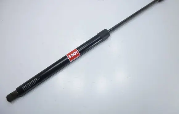 Tailgate/trunk strut/damper