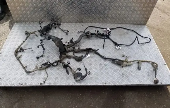 Engine installation wiring loom