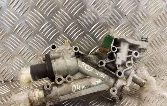 Thermostat/thermostat housing