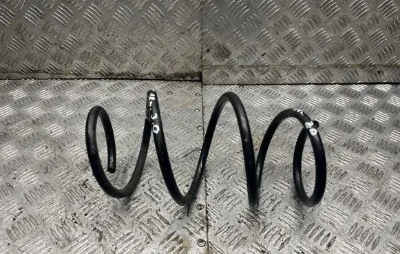 Front coil spring