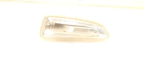 Front fender indicator light