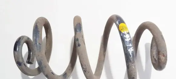 Nissan X-Trail T31 Rear coil spring