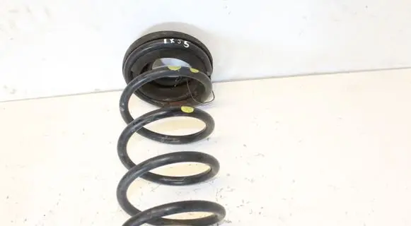 Hyundai ix 55 Rear coil spring