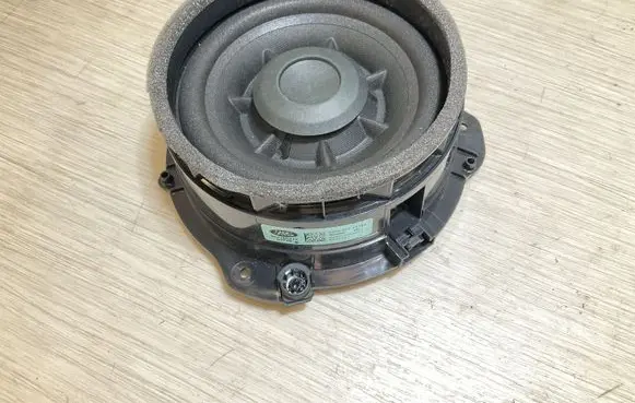 Front door high frequency speaker