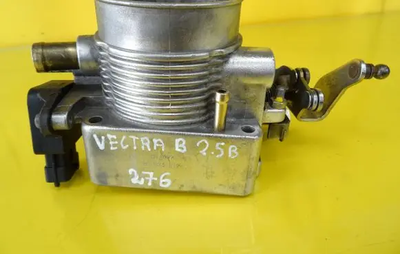 Throttle body valve