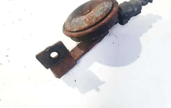 Horn signal