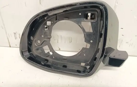 BMW X3 F25 Front door wing mirror part 697169