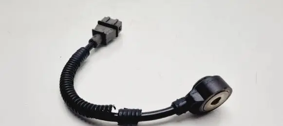 KIA Carnival Detonation knock sensor 