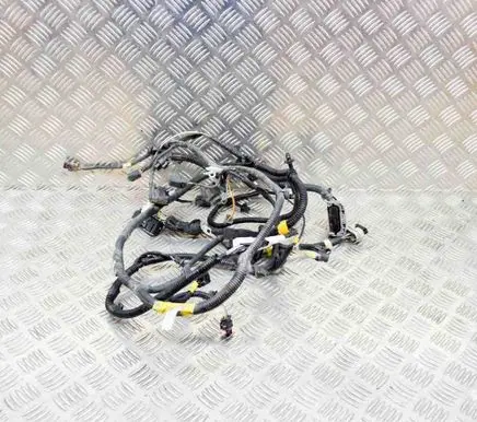 Tesla Model 3 Other wiring loom 106876700F