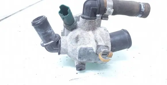 Thermostat/thermostat housing