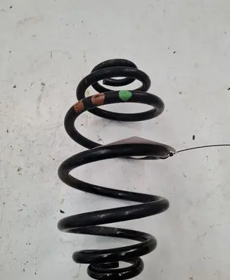 Volkswagen PASSAT B5.5 Rear coil spring