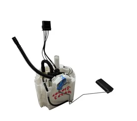 Citroen Berlingo In-tank fuel pump 100115562af