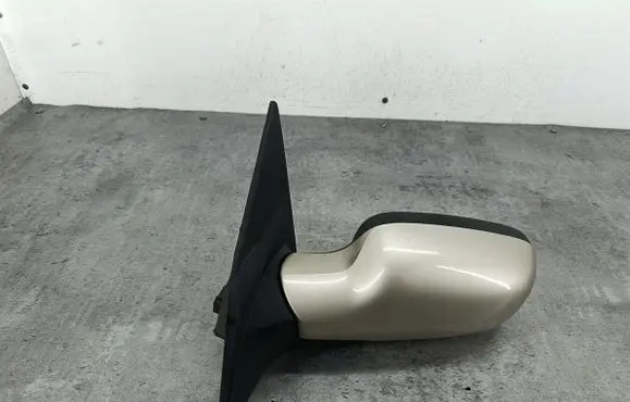 Renault Megane II Front door electric wing mirror
