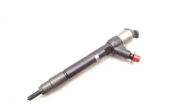Opel Insignia A Fuel injector 55570012