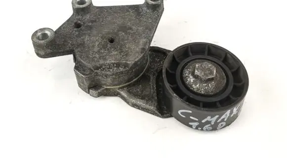 Ford Focus C-MAX Alternator belt tensioner 419481