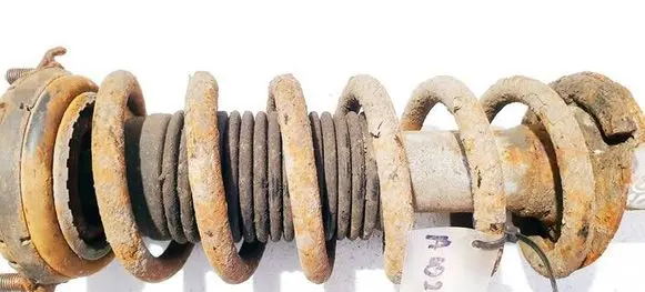 Rear coil spring