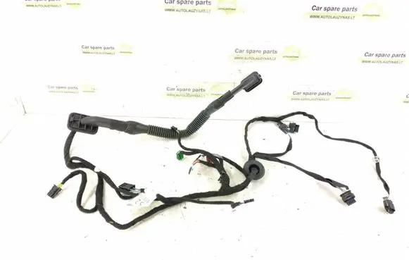 Mercedes-Benz GLE (W166 - C292) Front door wiring loom 1665407803 A1665407803