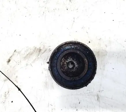 Fiat Marea Belt tensioner pulley 