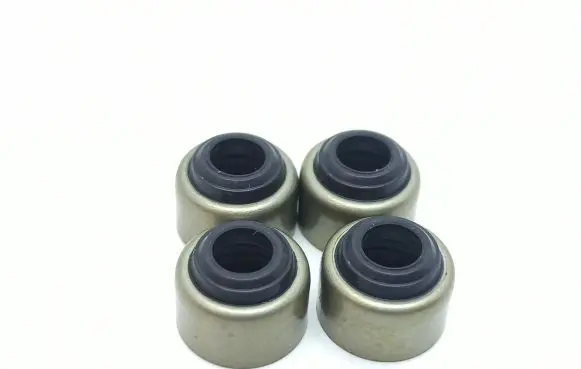 Aixam Scouty Valve 11420-13150