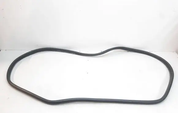 BMW 2 F46 Rear door rubber seal (on body) 7316818