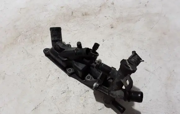 Thermostat/thermostat housing