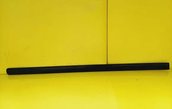 Front door trim (molding)