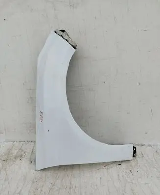 Ford Focus Fender