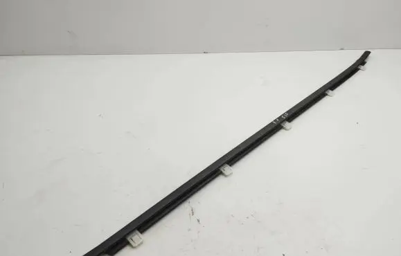 Honda Civic IX Front door glass trim molding