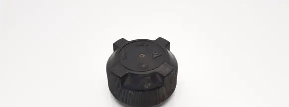 Fiat Punto (188) Coolant expansion tank/reservoir cap 27099 A878