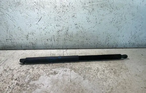 Tailgate strut