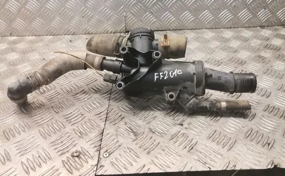 Thermostat/thermostat housing
