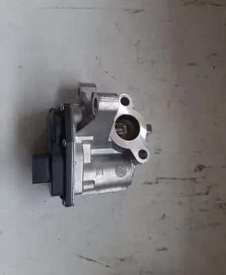 Renault Trafic III (X82) EGR valve H8201068965