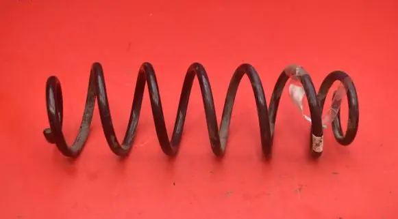 Rear coil spring