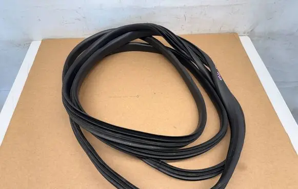Dacia Sandero III Front door rubber seal SAN3USZCZDRZWLP1