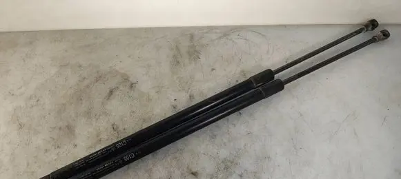 Tailgate/trunk strut/damper
