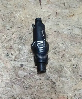Peugeot 406 Fuel injector LCR6734301C