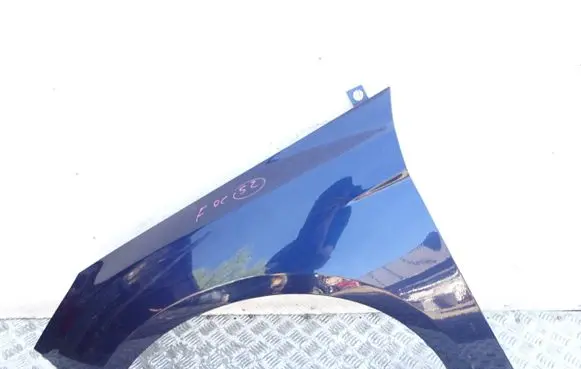 Ford Focus Fender botnik