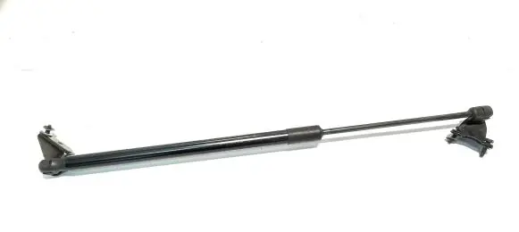 Tailgate/trunk strut/damper