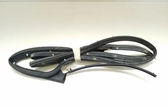 Nissan Juke I F15 Rubber seal rear door 