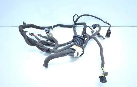 Chevrolet Captiva Front door wiring loom 95491029
