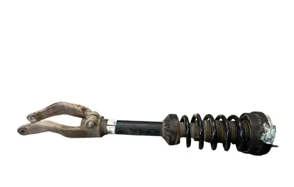 Jaguar F-Pace Front shock absorber with coil spring HK8318B036ME GHZVA