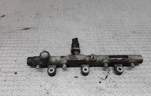 Peugeot 406 Fuel main line pipe 0445214019