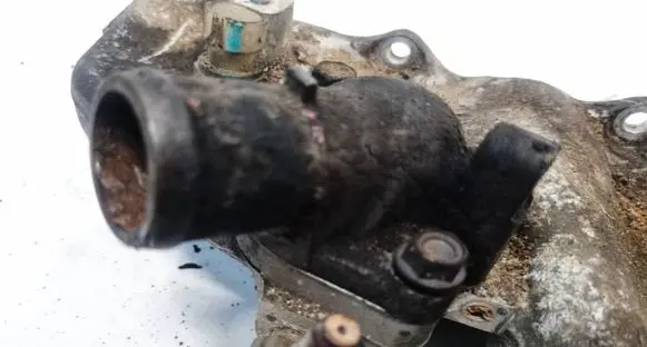 Chevrolet Captiva Engine coolant pipe/hose 