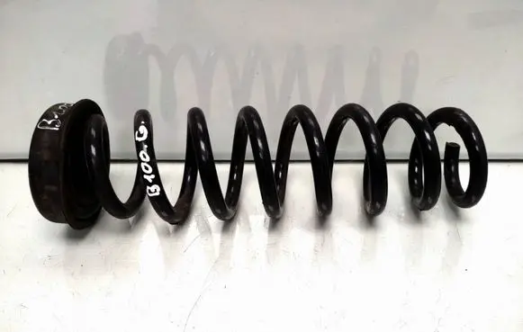 Rear coil spring