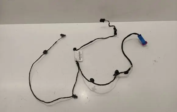 Volkswagen PASSAT B8 Front door wiring loom 18102014 3G1971558B 26471544