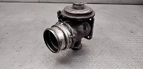 BMW X5 E53 EGR valve 7789999