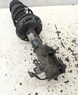 Opel Insignia A Front shock absorber with coil spring 562400005434 13319745 315000331
