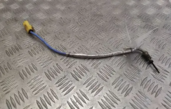Exhaust gas temperature sensor
