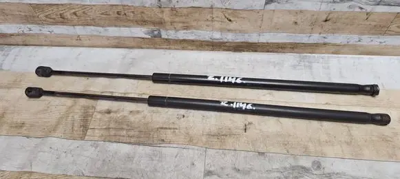 Tailgate/trunk strut/damper