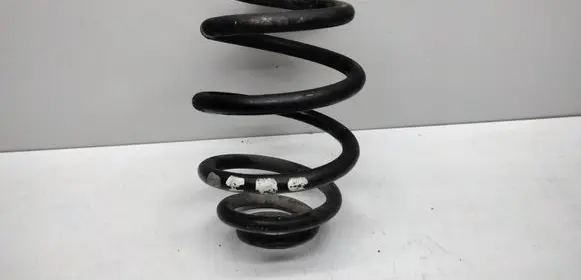 Rear coil spring